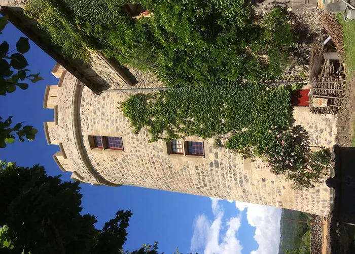 Chateau Royal De Saint-saturnin 3* Saint-Saturnin (Puy-de-Dome)